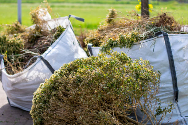 Basement Cleanout Services in Port St Joe, FL